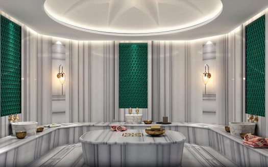 Апартаменты 1+1 Зейтынбурну/Стамбул